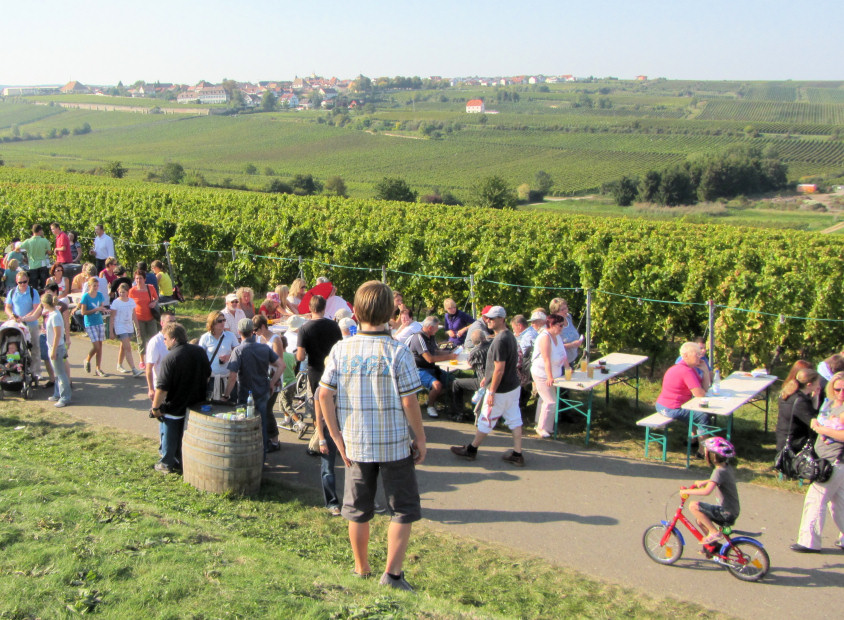 Freinsheim Culinary Wine Stroll, September, 2011
