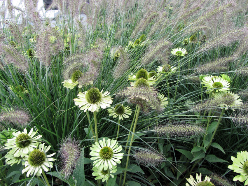 The Koblenz National Garden Show