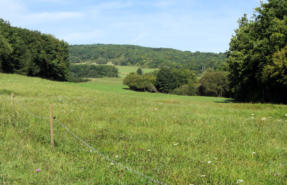 Countryside between Rodenbach and Erzenhausen, Germany