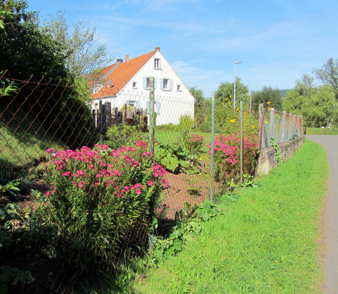 Garden near Rodenbach, Germany