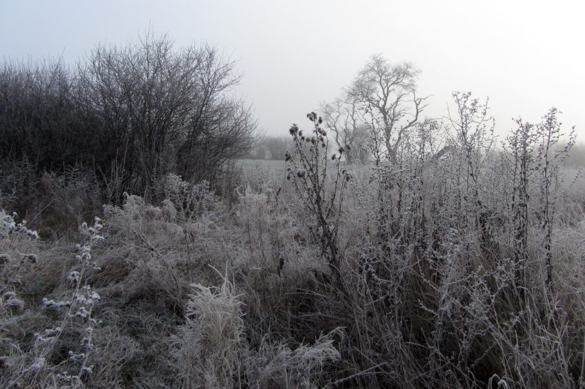 Photo taken in Rodenbach, Germany, in November, 2012