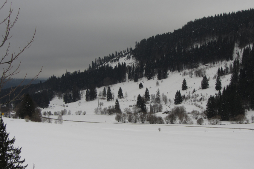 Black Forest (Schwarzwald) between St. Blasien and Feldberg, Germany