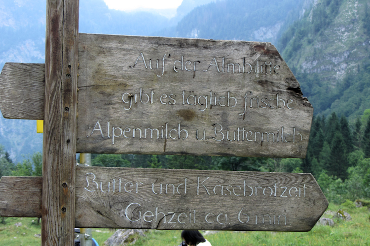 Signpost pointing the way to fresh Alm milk by the Königssee