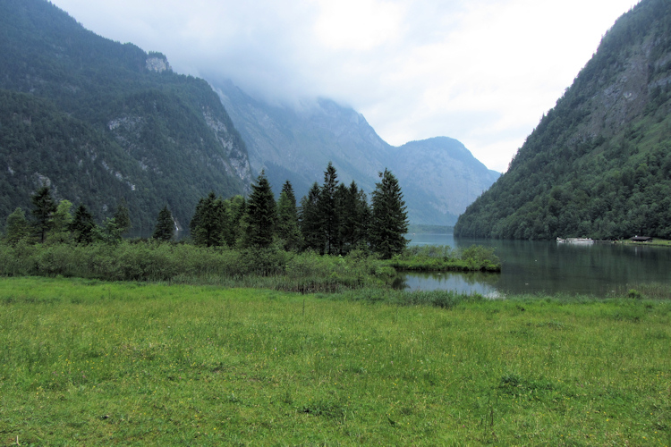 View of the Königssee from the Alm