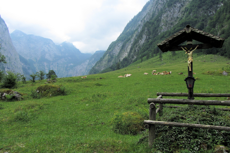 Dairy herd on the Alm by the Königssee