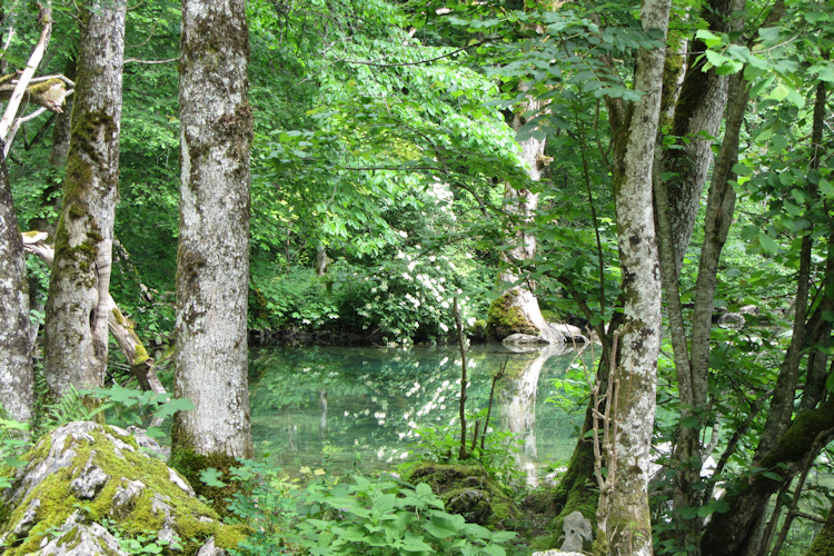 The Obersee