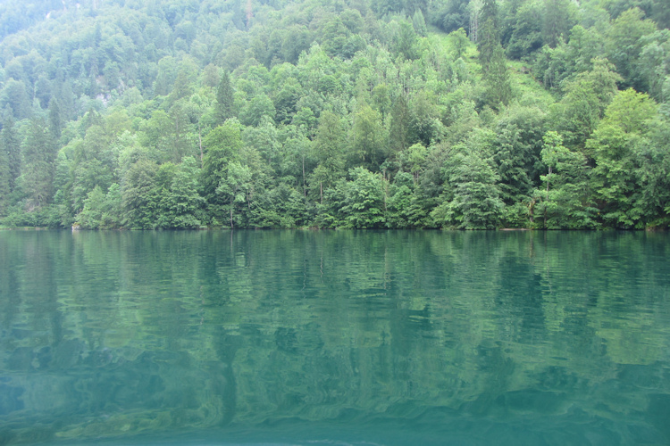 Blue-green water in the Königssee