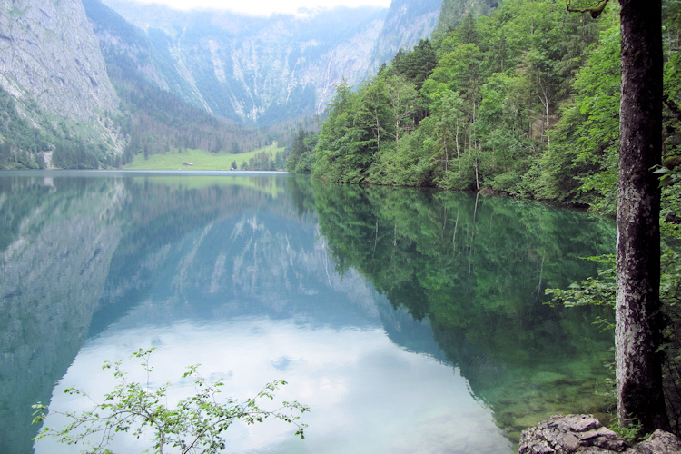 The Obersee