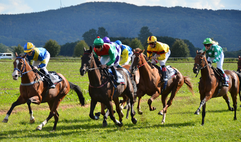 Coming down the stretch the first time at the horse races (Pferderennen) in Miesau