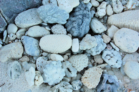Rocks on Diego Garcia