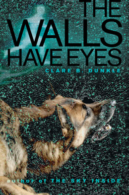 The Walls Have Eyes book cover