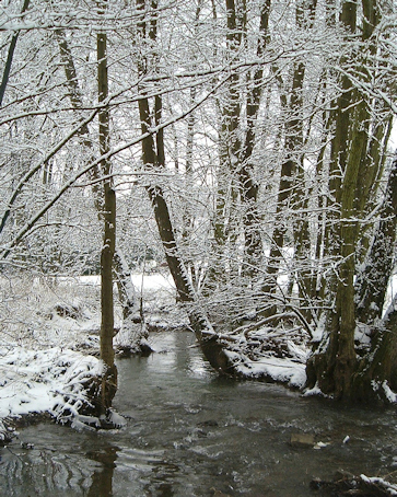 Winter in Bledesbach, Germany