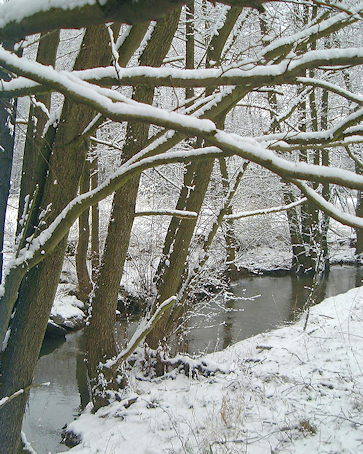 Winter in Bledesbach