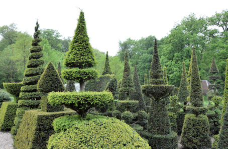 topiary bushes in Arnhem, Netherlands